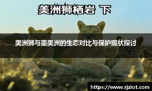 天博克罗地亚平台
